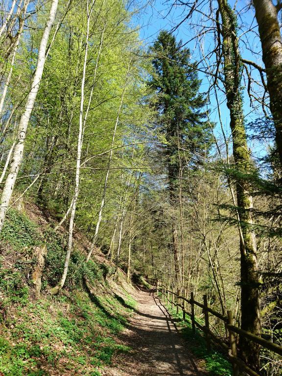 Zum Ochsen Penzion Neuhaus