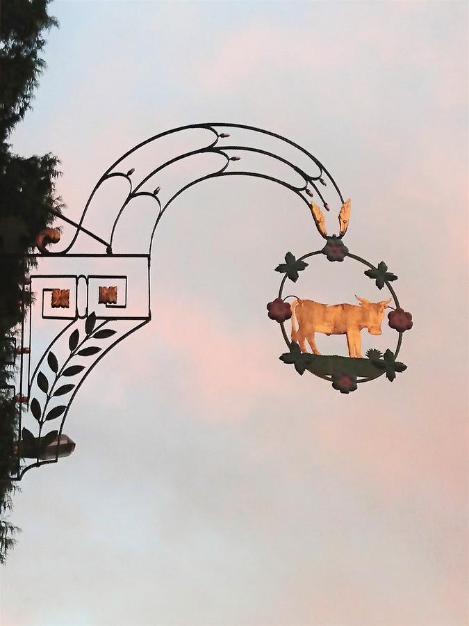 Zum Ochsen Penzion Neuhaus