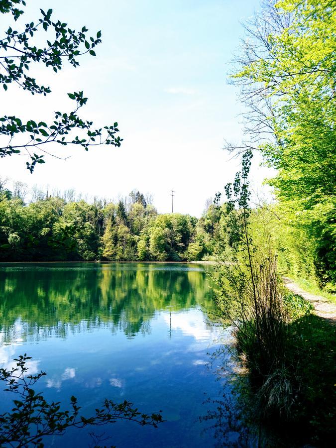 Zum Ochsen Penzion *