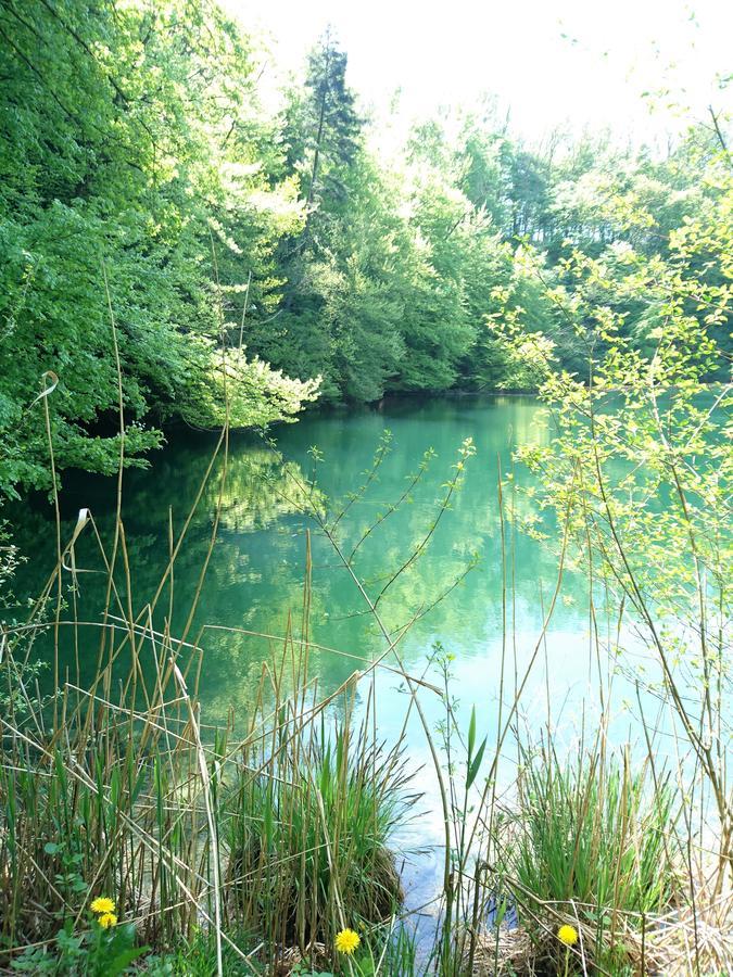 Zum Ochsen *