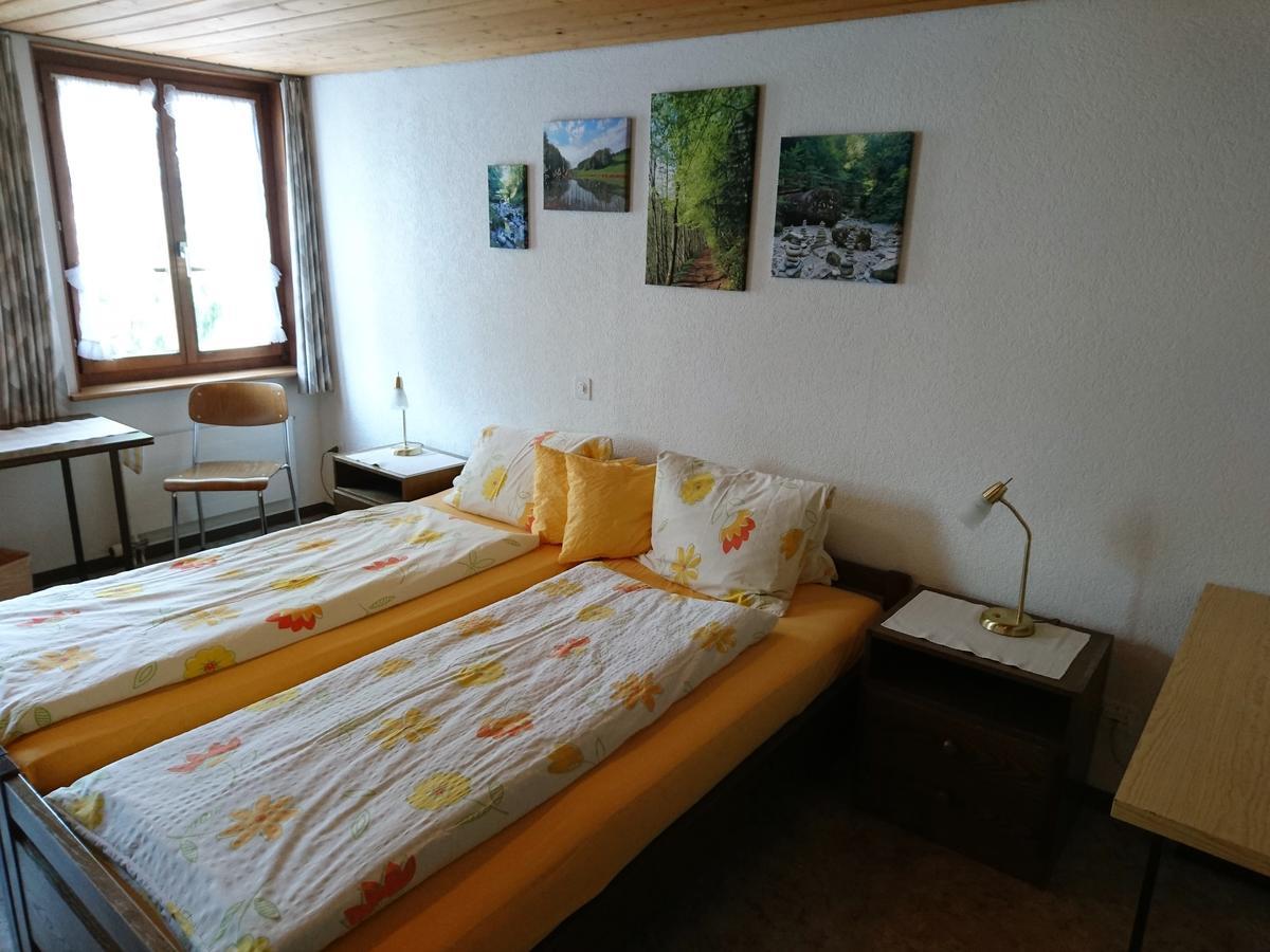 Zum Ochsen Penzion Neuhaus