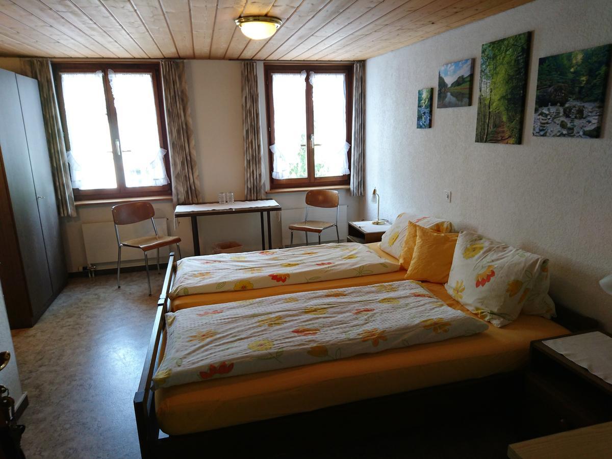 Zum Ochsen Penzion *