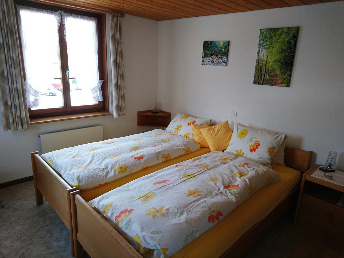 Zum Ochsen Penzion Neuhaus